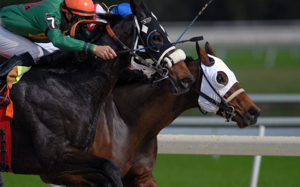 74th Block House Steeplechase Races Tryon Riding and Hunt Club, Tryon