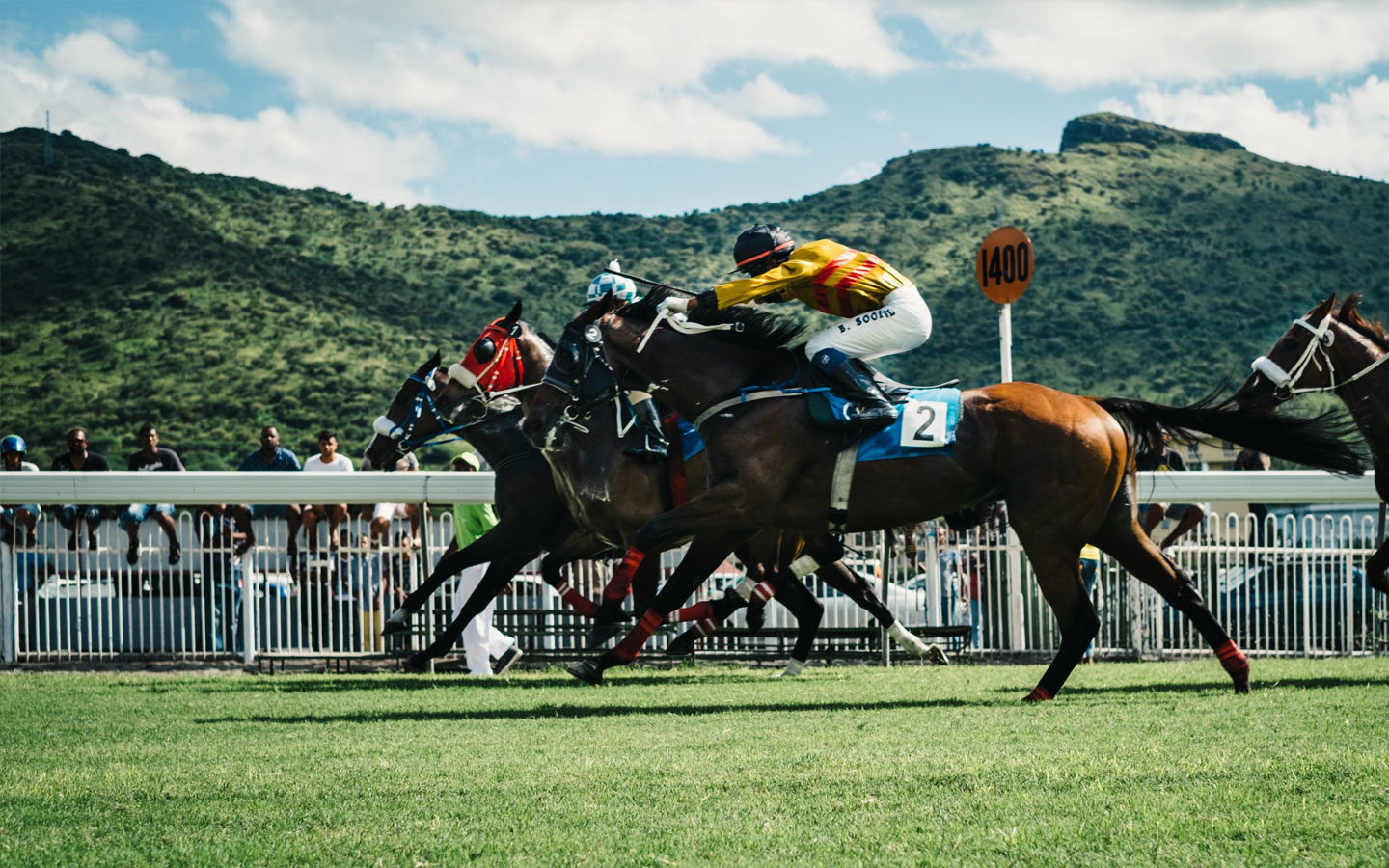 turffontein horse racing betting online