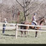TRHC - 1990 Horse Trails - Male Rider and brown horse prepare to go onto the CC course