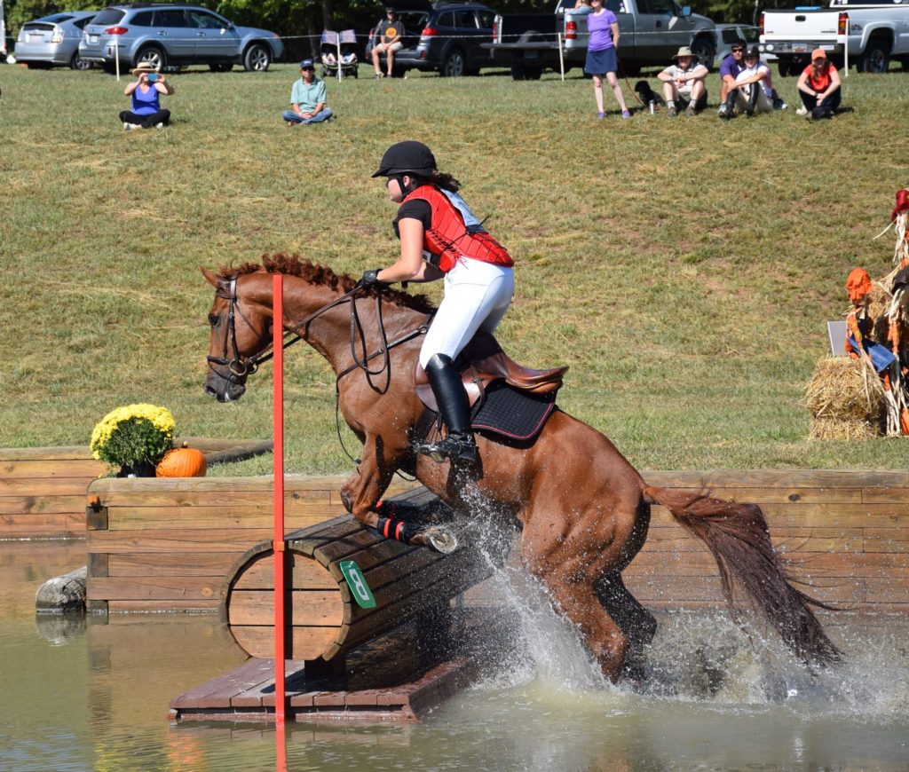 45th "Morris the Horse" Trials Tryon Riding and Hunt Club, Tryon