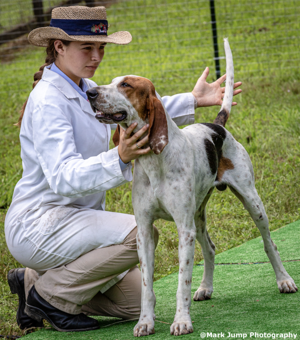 Tryon Horse and Hound Show - Tryon Riding and Hunt Club, Tryon North ...