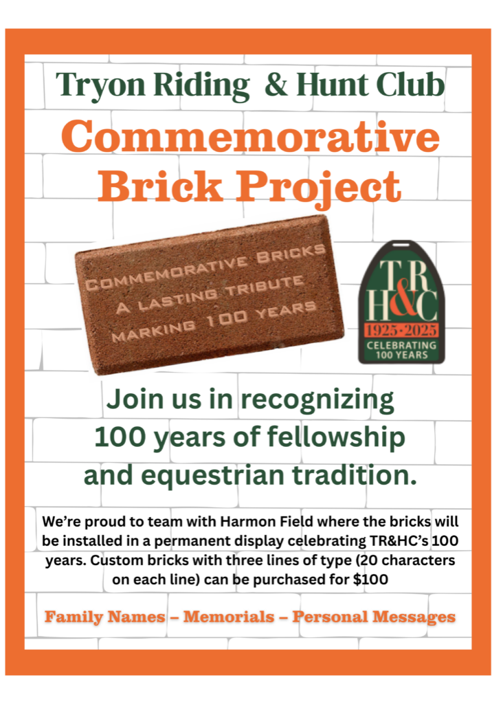 Brick Project Flyer
